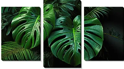 Модульная картина Монстера в джунглях №73