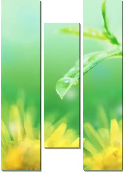 Модульная картина Роса на листьях