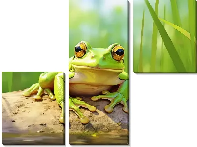 Модульная картина Лягушка №11
