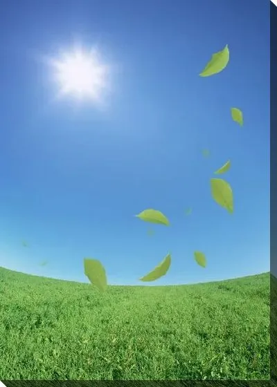 Постер Листья на ветру