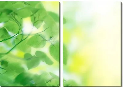 Модульная картина Листья