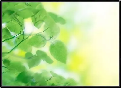 Картина Листья