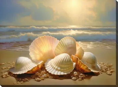 Картина маслом Ракушки №8