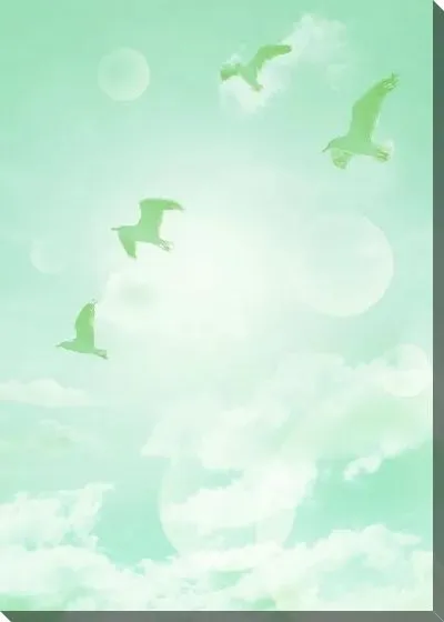 Постер Чайки в небе