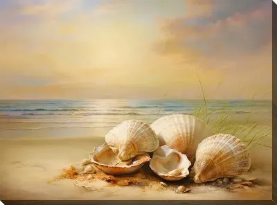 Картина маслом Ракушки №36