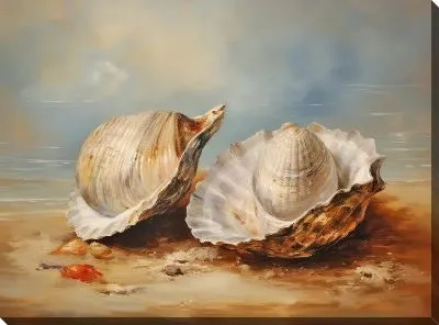 Картина маслом Ракушки №37