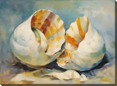 Картина маслом Ракушки №54