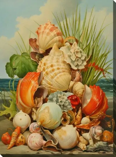 Картина маслом Ракушки №55