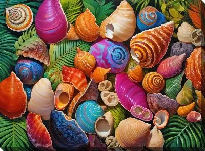 Картина маслом Ракушки №59