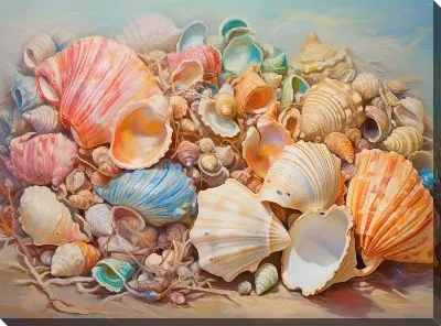 Картина маслом Ракушки №63