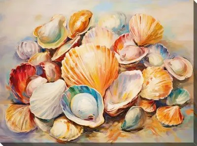 Картина маслом Ракушки №65