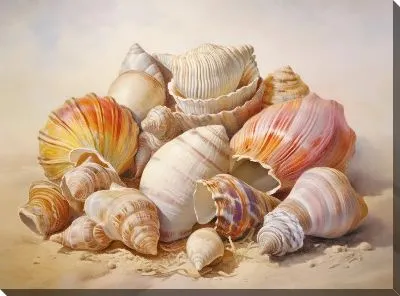 Картина маслом Ракушки №76