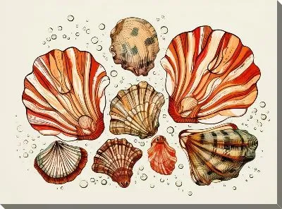 Картина маслом Ракушки №105