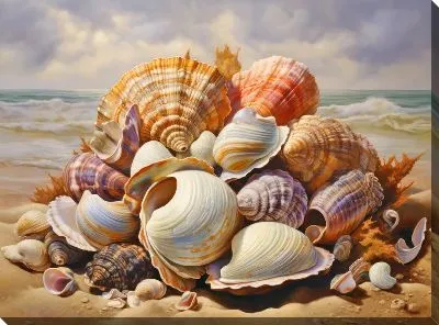 Картина маслом Ракушки №113