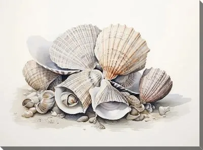 Картина маслом Ракушки №114