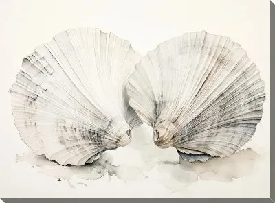 Картина маслом Ракушки №115