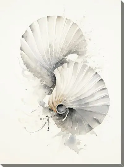 Постер Ракушки №116