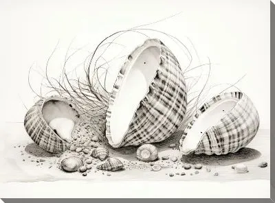 Картина маслом Ракушки №118