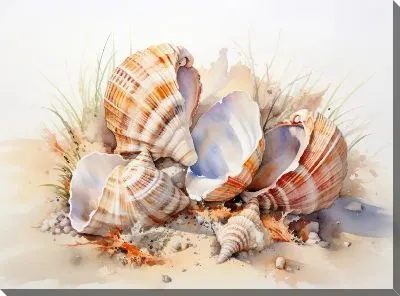 Картина маслом Ракушки №122