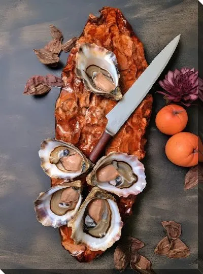 Картина маслом Устрицы и нож