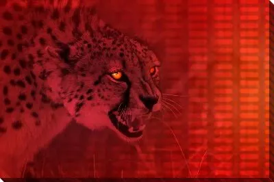 Постер Леопард №2