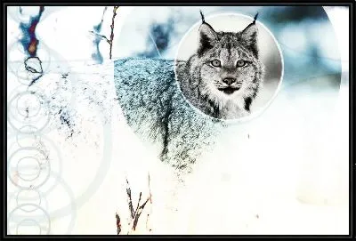 Картина Рысь