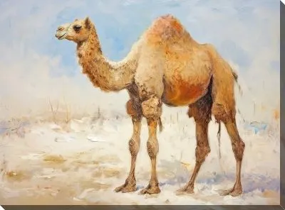 Картина маслом Верблюд №2