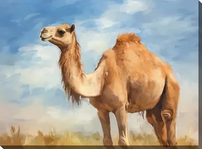 Картина маслом Верблюд №8