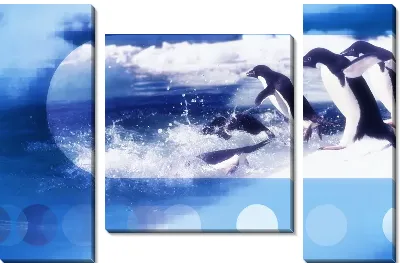 Модульная картина Пингвины