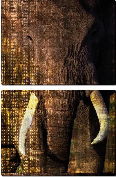 Модульная картина Слон