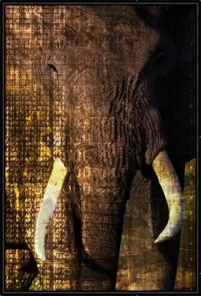 Картина Слон