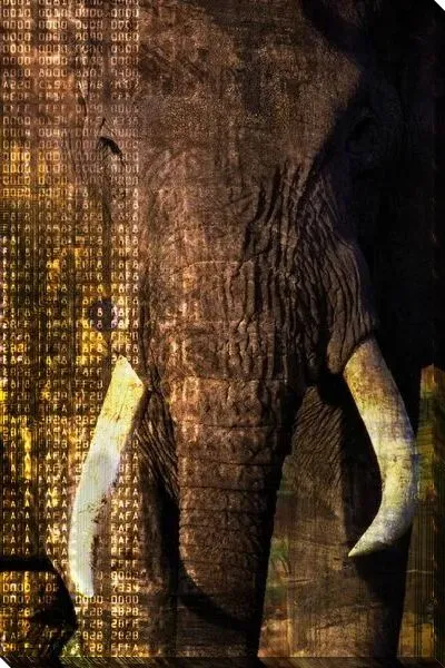 Постер Слон