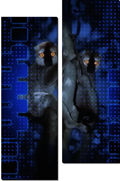 Модульная картина Ленивцы