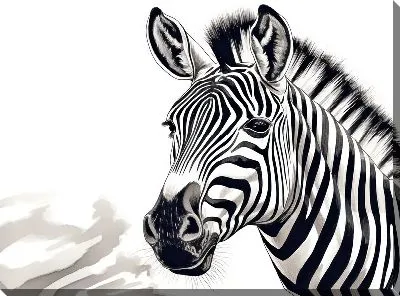 Картина маслом Зебра №37