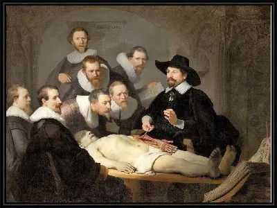 Урок анатомии доктора Тульпа