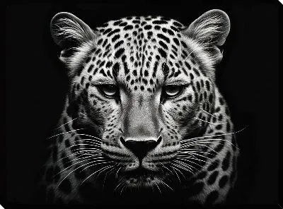 Картина маслом Леопард №118