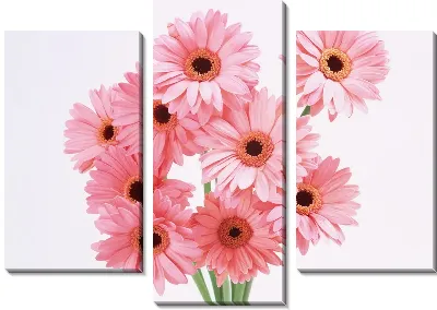 Модульная картина Герберы №6