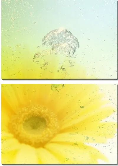 Модульная картина Герберы №7