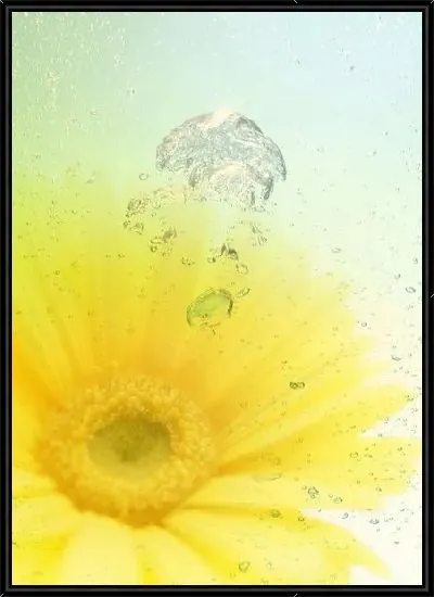 Картина Герберы №7