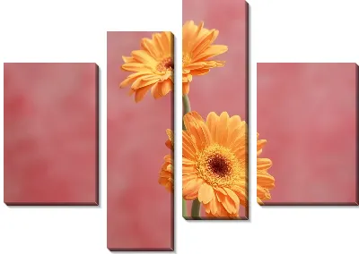 Модульная картина Герберы №9