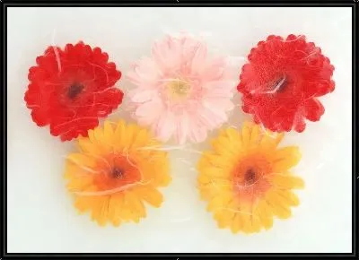 Картина Герберы №12