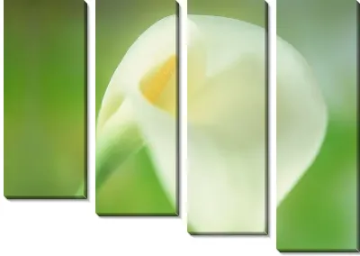 Модульная картина Каллы №3