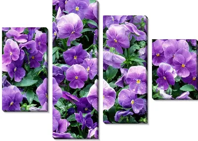 Модульная картина Цветы №6