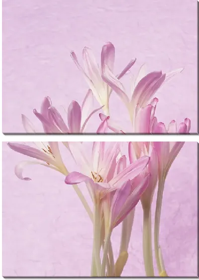 Модульная картина Цветы №12