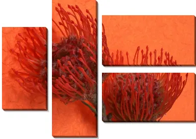 Модульная картина Цветы №16