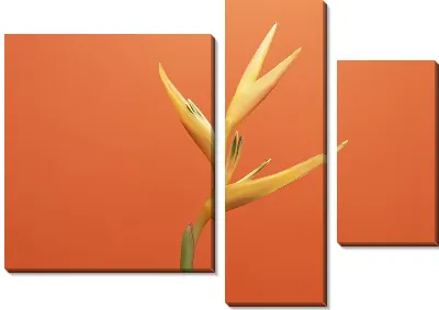 Модульная картина Цветы №19