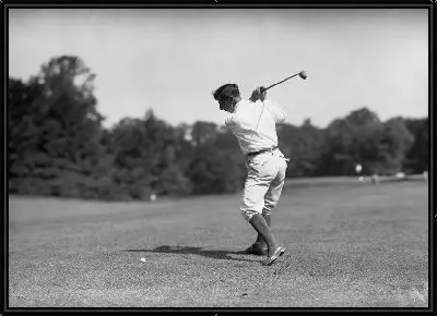 Картина Игра в гольф №25