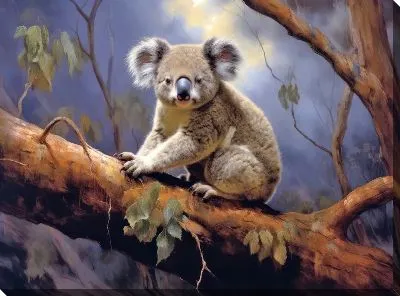 Постер Коала №11