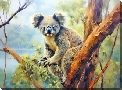 Постер Коала №24