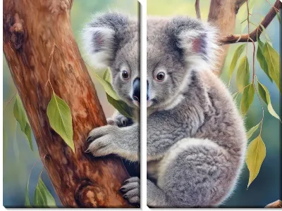 Модульная картина Коала №48
